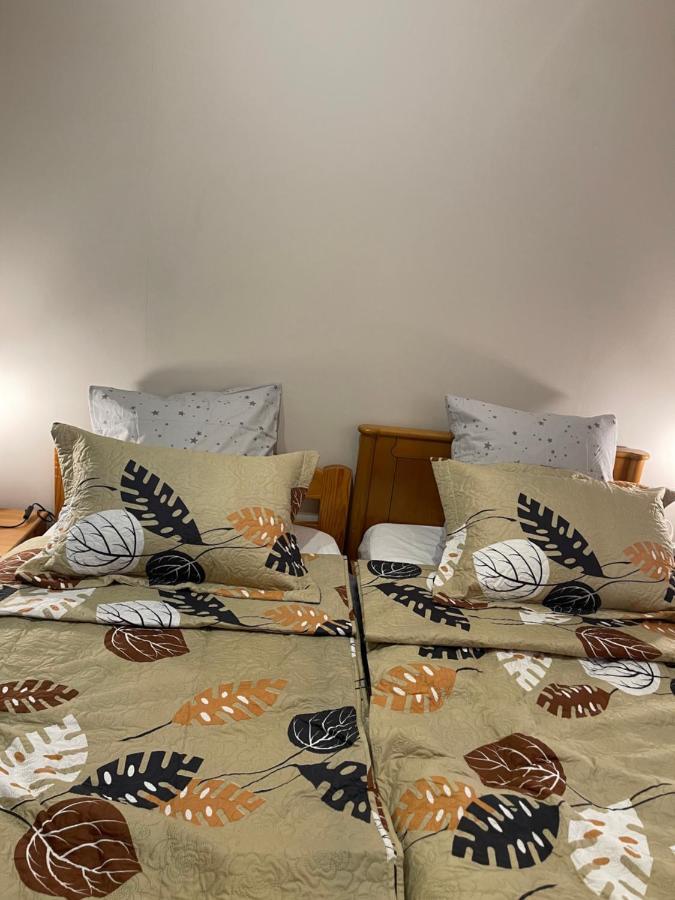 Appartement 3 Pieces Pour 1 A 5 Voyageurs Rillieux-la-Pape Экстерьер фото
